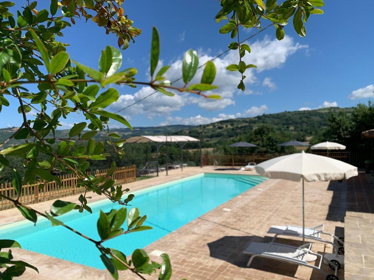 Agriturismo La Palazzetta Di 아시시 외부 사진