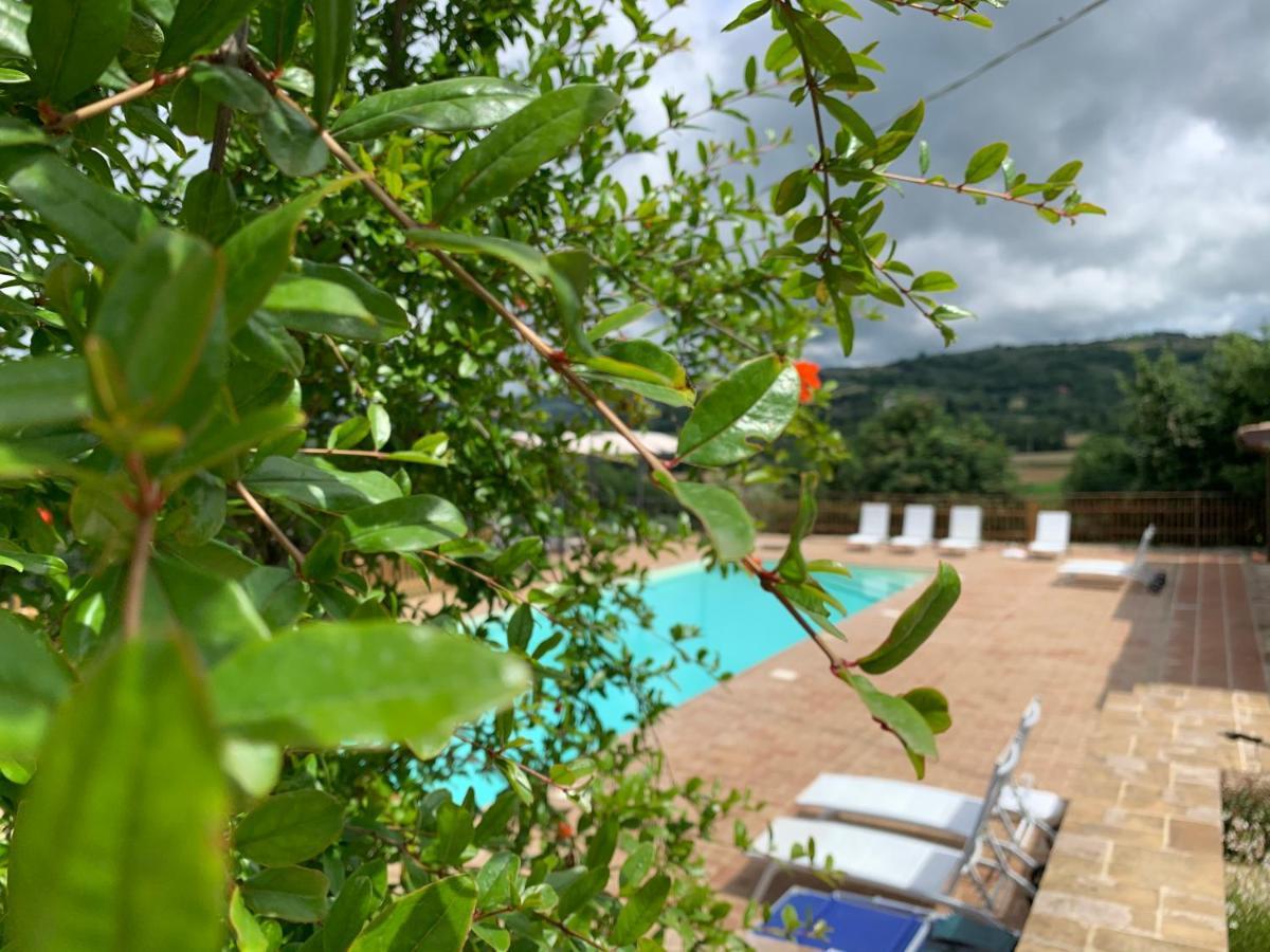 Agriturismo La Palazzetta Di 아시시 외부 사진