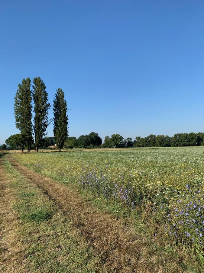 Agriturismo La Palazzetta Di 아시시 외부 사진