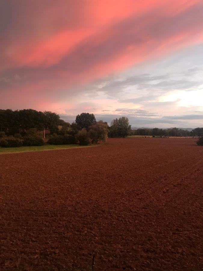 Agriturismo La Palazzetta Di 아시시 외부 사진